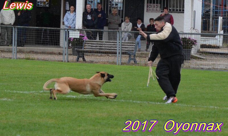 2017 ring oyo face Lewis.jpg